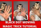How to do the moving black dot magic trick
