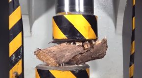 Hydraulic Press Moments That Are Really Cool