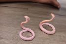 Looking At 18 Adorable Yet Deadly Baby Cobras