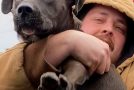 Good man rescues a pitbull abandoned at a gas station