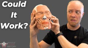 How much time does it take for a head transplant?