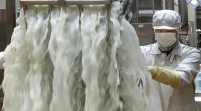 Korean cheese factory making cheese in massive quantities