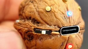 Man creates an amazing speaker using a walnut shell
