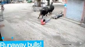 Man gets trampled by a runaway bull, yet he survives