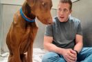 Man’s interactions with shelter dogs are just too wholesome