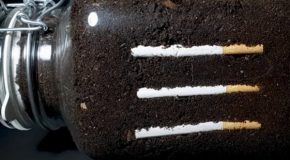 Timelapse of a cigarette in soil for a year