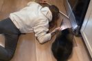 Cats doing things better than people compilation