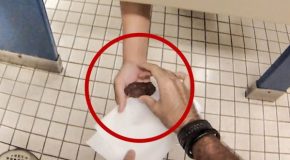 Incredibly funny bathroom prank in action