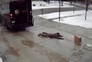 UPS delivery guy fails badly on an icy driveway