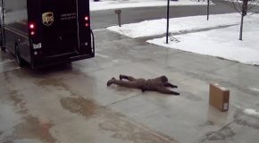 UPS delivery guy fails badly on an icy driveway