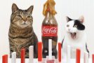 Cool mentos dominoes reaction with a cat