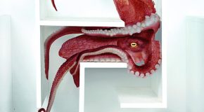 Octopus takes on an underwater maze