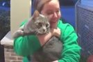 Doorbell camera records the emotional moment of a cat owner being reunited with her lost cat