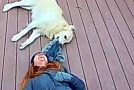 Ring camera features the most adorable moment between a dog and her owner