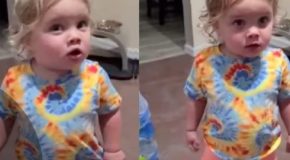 Toddler argues after being accused of touching food