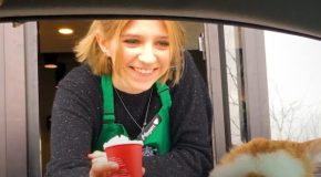 Cat can’t wait for it’s Puppacino at the drive thru