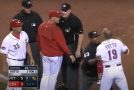 Insane baseball ejections that led to suspensions