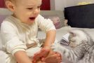 Baby gets angry with a kitten because it doesn’t let him draw
