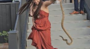 Bridesmaid removes a snake from a wedding