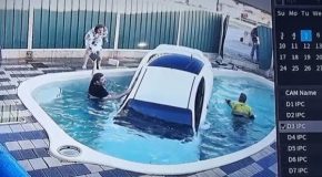 Out of control car crashes into a swimming pool