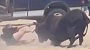 Woman at the Mexico beach ignores warnings about a bull, gets attacked