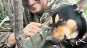 Hunting Dog Keeps Falling Asleep While On Duty