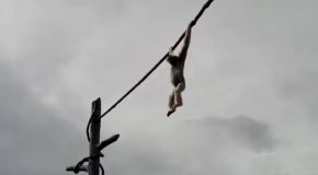 Monkey Hanging On A Rope Poops On The Crowd Below