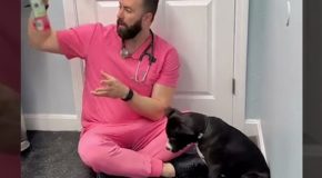 Amazing Vet Treats A Dog Who Bites