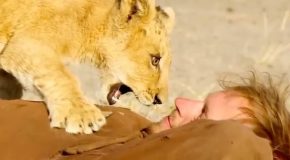 Amazing story of a man and an abandoned lion cub he rescued