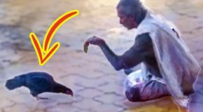 Compilation of crazy incidents that show why India isn’t for beginners