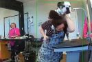 Dog groomer fends off a bulldog trying to hump her back