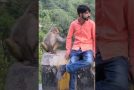 Man Gets Kidnapped By Monkeys Who Asked For Food As Ransom