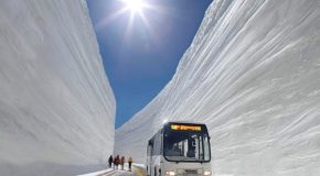 The amazing sights of the Tateyama Snow Corridor of Japan