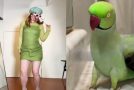 Crazy Dance Off Between A Parrot And Smac!