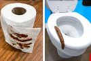 Funny Pranks That Just Keep Leveling Up