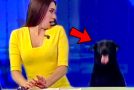 News Bloopers That Are Just Beyond Funny