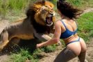 20 Examples Of African Safaris Going Horribly Wrong