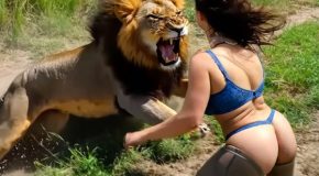 20 Examples Of African Safaris Going Horribly Wrong