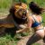 20 Examples Of African Safaris Going Horribly Wrong