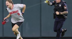 Fan Jumps Into A Baseball Field, Does A Backflip And Gets Tasered