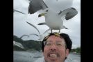 Hilarious Moment When A Seagull Tries To Build A Nest On A Guy’s Head