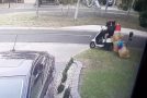 Moped Riders Seen Stealing Christmas Decorations