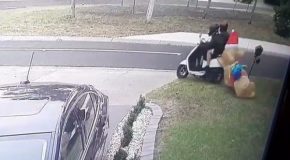 Moped Riders Seen Stealing Christmas Decorations