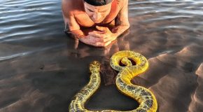 Taking A Look At Unique Sea Animals In Tide Pools