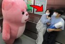 Funny Prank Involving A Giant Moving Teddy Bear Inside An Elevator