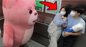 Funny Prank Involving A Giant Moving Teddy Bear Inside An Elevator