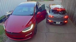 Tesla Model X Major Technical Error Caught On Camera