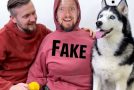 Funny Reactions Of A Husky And A Cat To A Stuffed Owner