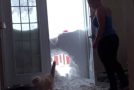 Hungry Cat’s Cinematic Entry Through Snow