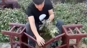 Incredible Work Skills Of Fast Workers